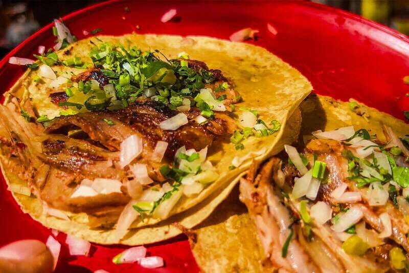 CDMX Street Food: Tour of Local Markets. - Final Thoughts