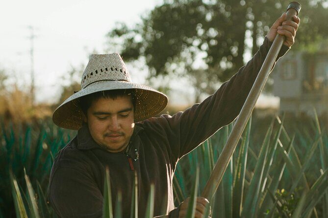 CDMX Tasting of Mezcal vibes - A Deep Dive into the CDMX Mezcal Tasting Experience