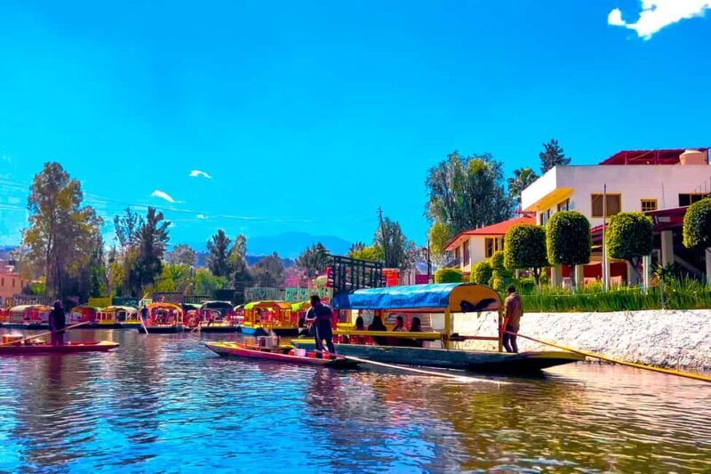 CDMX: Trajinera party in Xochimilco with tacos, music, and drinks - Tacos: The Perfect Complement