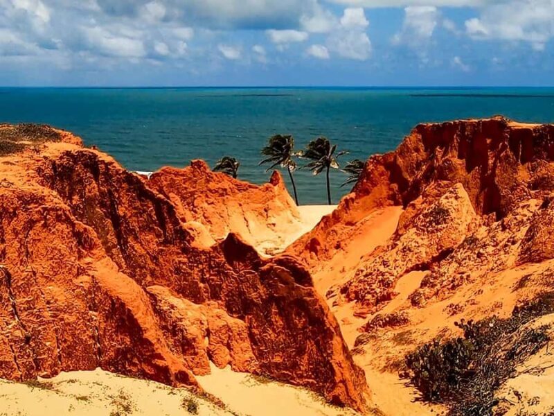 Ceará Beaches in one day - The Sum Up: Why Choose Ceará Beaches in One Day?