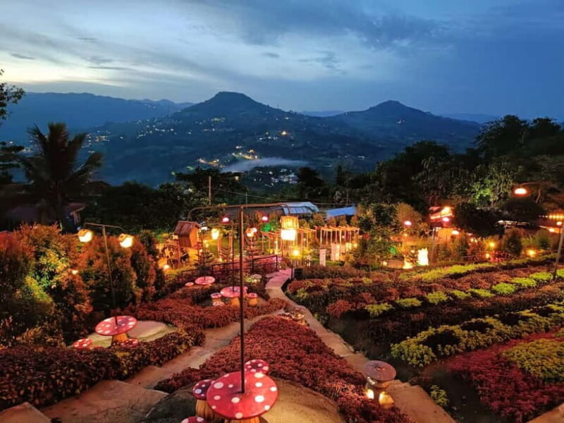 Cebu: 4 Days and 3 Nights Cebu Tour Package - An In-Depth Look at Cebu’s 4-Day Tour Experience