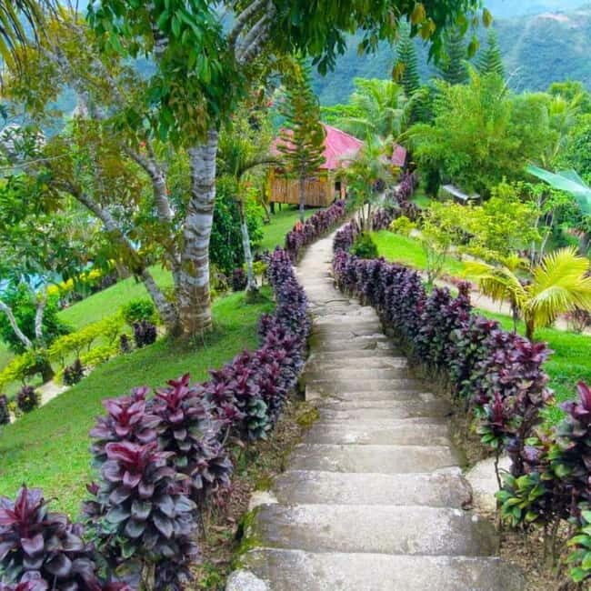 Cebu Balamban Uphill Adventure Tour - Key Points