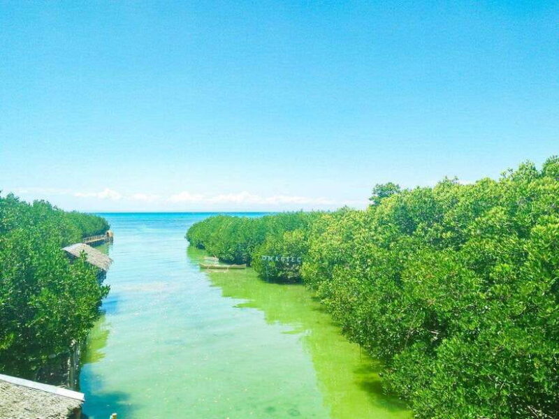 Cebu Bantayan Island Day Tour (Private Tour) - Authentic Experiences and Practical Details