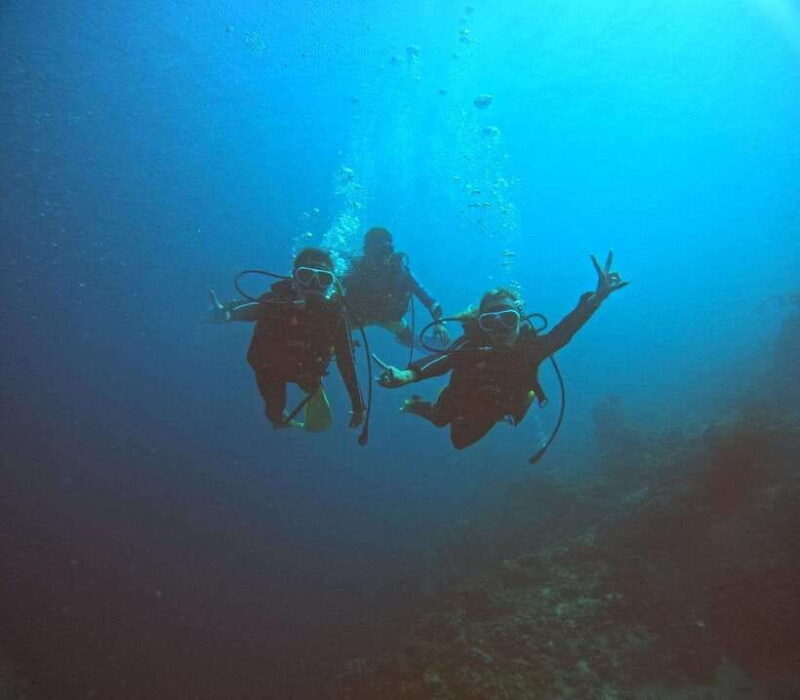 Cebu: Beach Scuba Diving Experience - Key Points