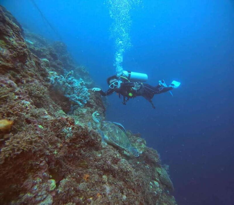 Cebu: Beach Scuba Diving Experience - Potential Drawbacks