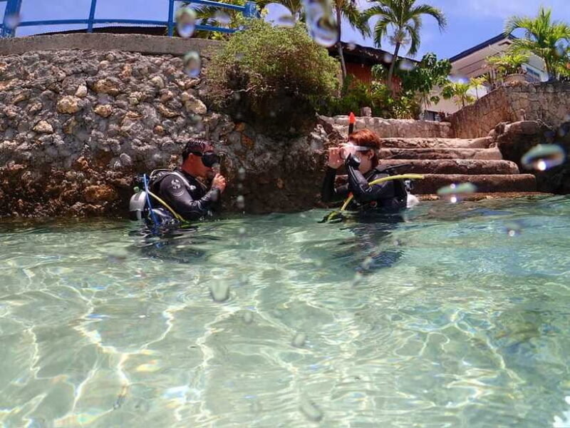 Cebu: Beach Scuba Diving Experience - The Sum Up