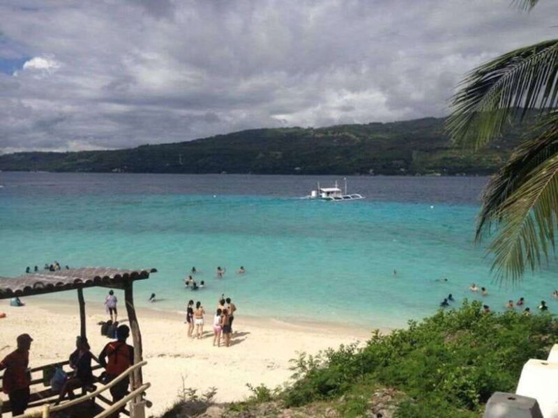 Cebu: Boat Day Trip with Whale Shark Swimming and Lunch - Why Choose This Tour?