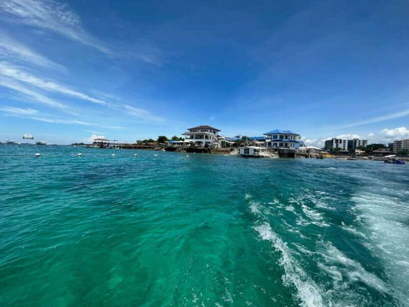 Cebu: boat diving two dive tour in Olango island - Cebu: Boat Diving Two Dive Tour in Olango Island