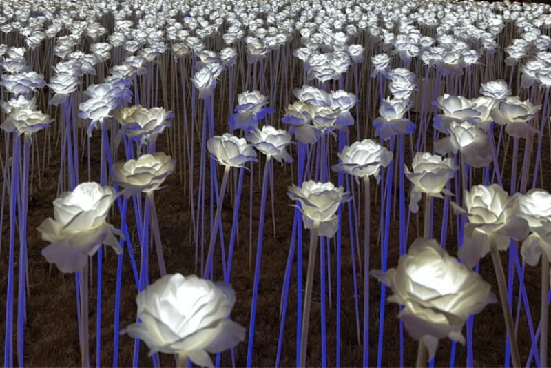 Cebu: Cebu City and Mactan Island Tour - Cebu: Cebu City and Mactan Island Tour — A Practical, Authentic Look