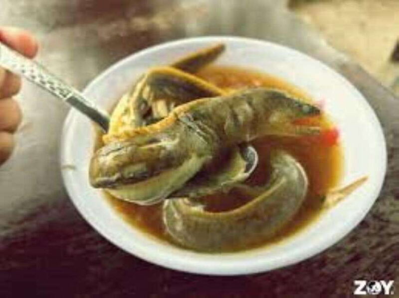 Cebu City: A Food Adventure Through City Streets - Who Will Love This Tour?