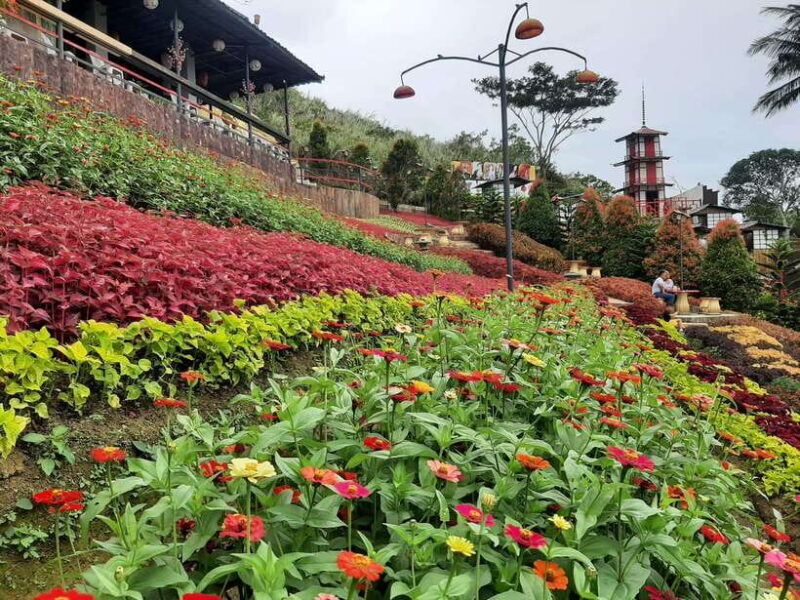 Cebu City: Cultural Heritage Tour & 10,000 Roses Visit - Key Points