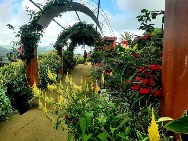 Cebu City: Cultural Heritage Tour & 10,000 Roses Visit - The Experience in Detail