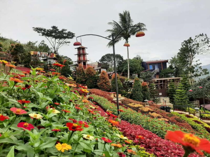 Cebu City: Cultural Heritage Tour & 10,000 Roses Visit - The Sum Up