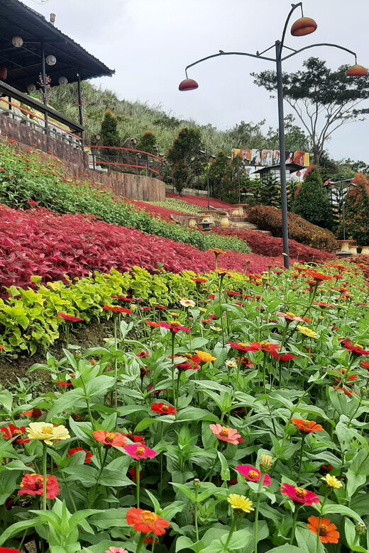 Cebu City: Cultural Heritage Tour & 10,000 Roses Visit - FAQ