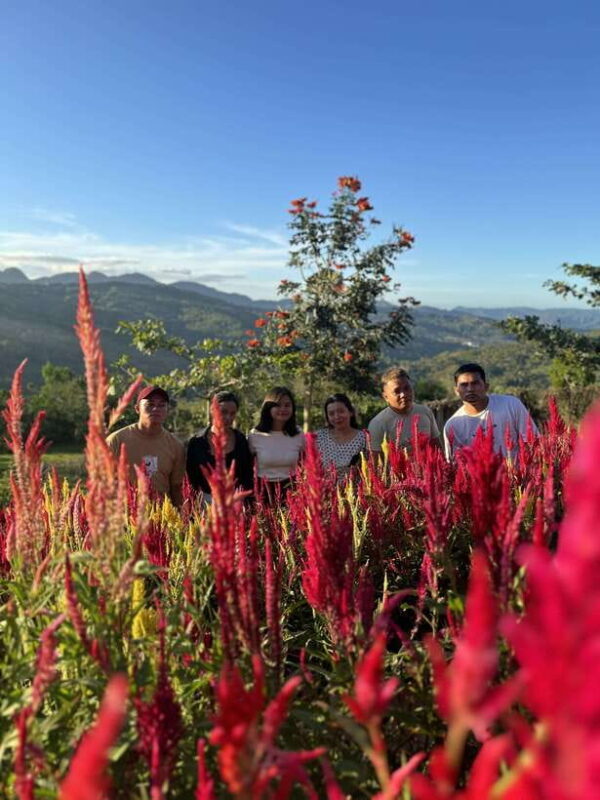 Cebu: City Highlights with Sirao Flower Garden Visit - Exploring Cebu: City Highlights with Sirao Flower Garden Visit — A Practical Guide for Travelers