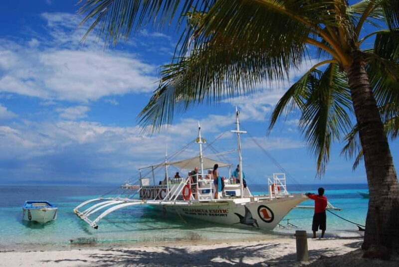Cebu City: Malapascua Island Day Tour with Snorkeling - Key Points
