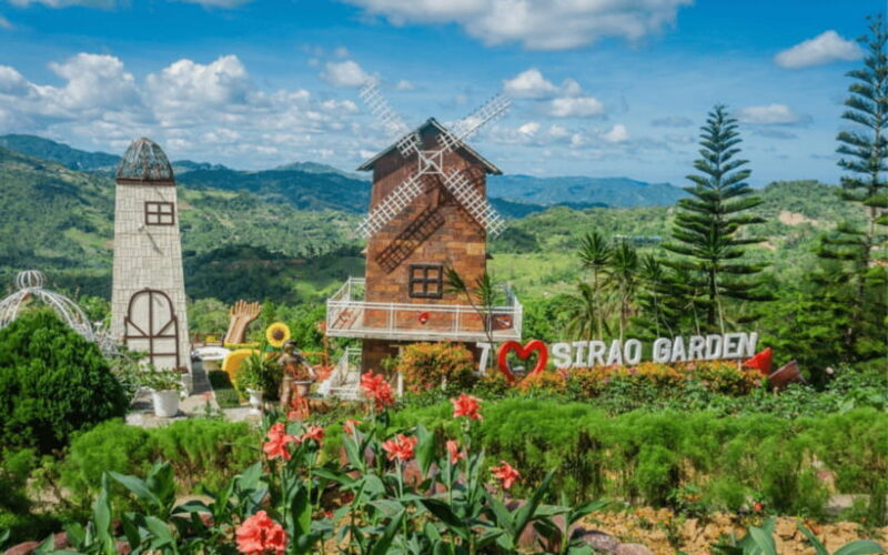 Cebu: City Sightseeing Group Tour - Key Points