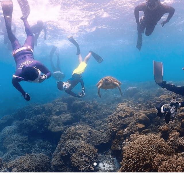 Cebu city to Pescador Island & Kawasan Canyoneering Tour - Exploring Cebu’s Marine Wonders and Green Canyons