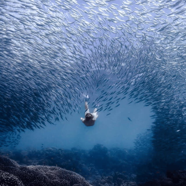 Cebu city to Pescador Island & Kawasan Canyoneering Tour - What Travelers Say