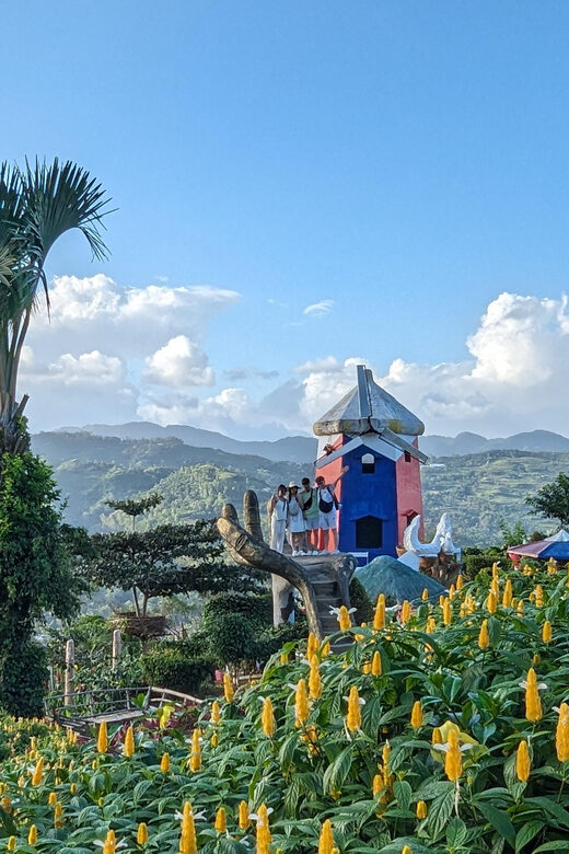 Cebu City with Sirao Garden Half Day Tour - Who Should Consider This Tour?