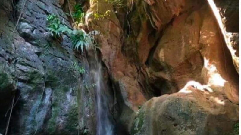 Cebu: Igutan Cave and Waterfalls Hike with Market Visit - Key Points