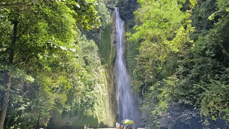 Cebu: Inambakan, Kawasan, and Mantayupan Waterfalls Tour - Final Thoughts