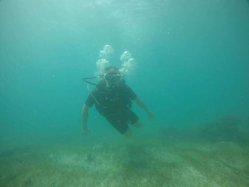 Cebu: Kanlahing Peak Sea of Clouds & Polpog-Nonok Stream - In-Depth Review of the Tour Experience