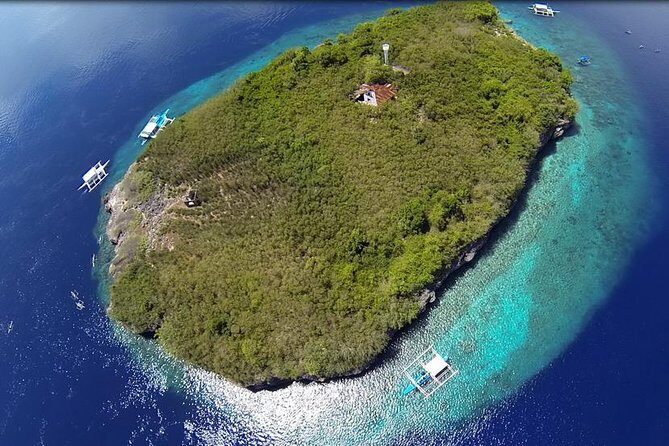 Cebu Moalboal Beach, Sardine Run, Sea Turtle Viewing + Canyoneering Tour - A Detailed Look at the Tour Experience