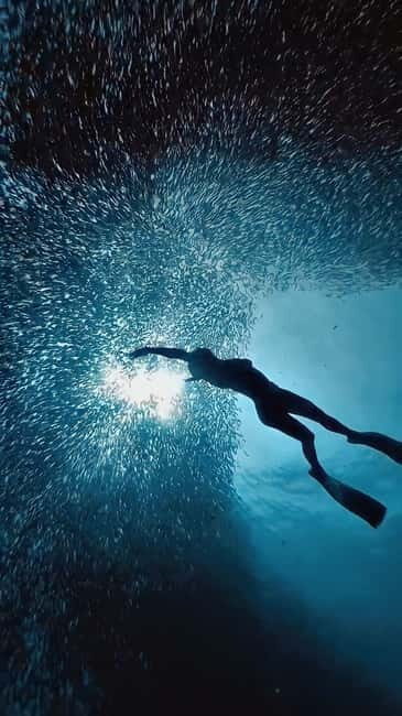 Cebu: Moalboal Sardine Run & Kawasan Falls Canyoneering - Key Points