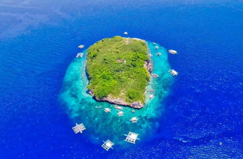 Cebu: Moalboal Sardines and Turtles Snorkeling Tour - FAQ