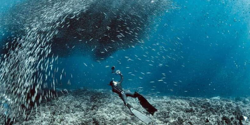 Cebu: Moalboal Sardines & Turtle Snorkeling and Canyoneering - The Sum Up