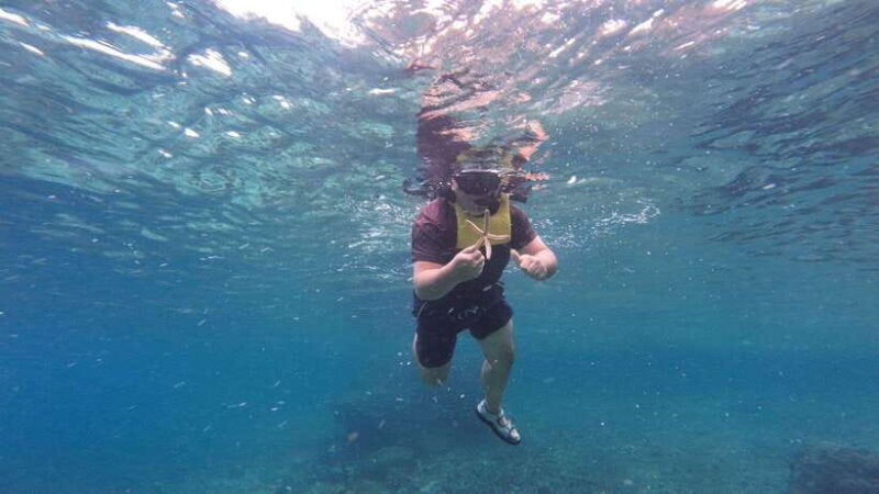 Cebu: Moalboal Snorkeling & Kawasan Canyoneering Adventure - Exploring the Tour in Detail