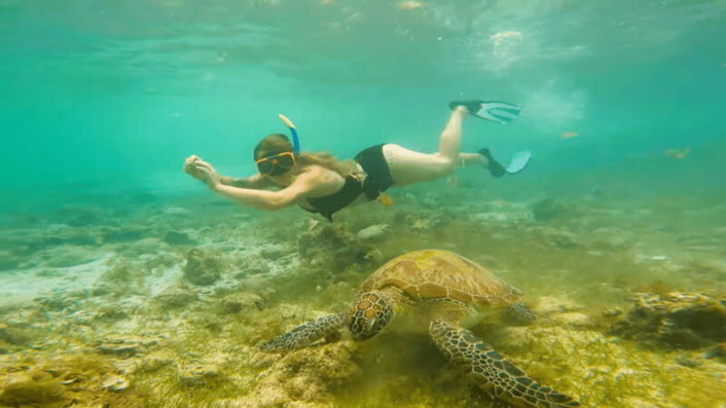Cebu: Moalboal Snorkeling & Kawasan Canyoneering Adventure - Who Should Consider This Tour?