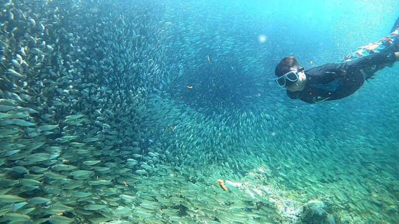 Cebu: Moalboal Snorkeling, Mantayupan Falls & ATV Adventure - FAQ