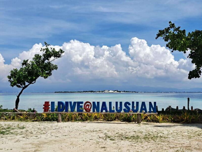 Cebu Nalusuan Island & Marine Sanctuary | Joiners Tour - Who Should Consider This Tour?