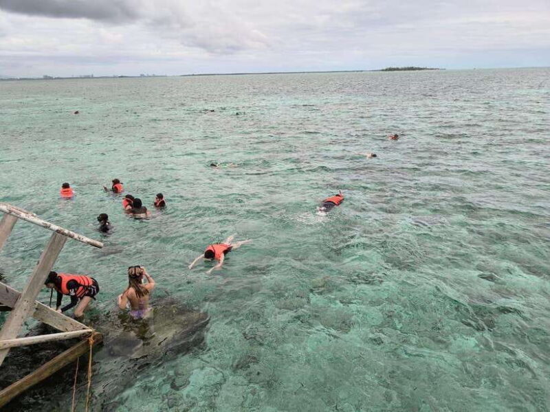 Cebu Nalusuan Island & Marine Sanctuary | Joiners Tour - FAQs