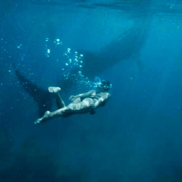 Cebu: Oslob Whale Shark, Sumilon, Ruins, Simala Church - A Deep Dive into the Cebu Tour Experience