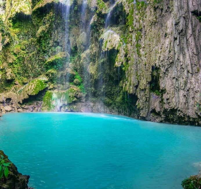 Cebu: Oslob Whale Shark Swim and Sumilon Island Day Tour - FAQ