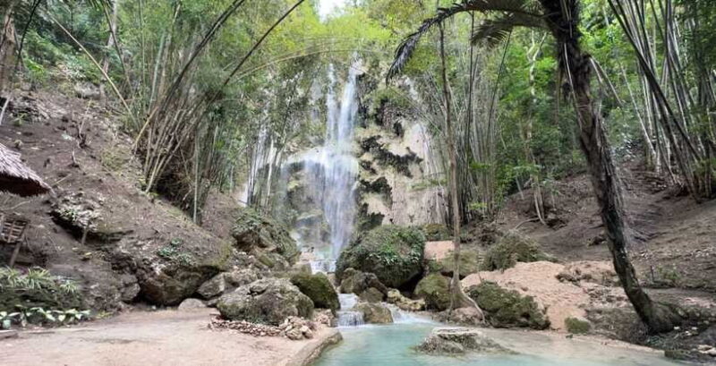 Cebu: Oslob Whale Shark Swimming - Who Is This Tour Best Suited For?