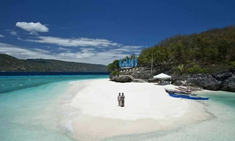 Cebu: Oslob Whale Shark, Tumalog Falls, and Sumilon Sandbar - Possible Drawbacks