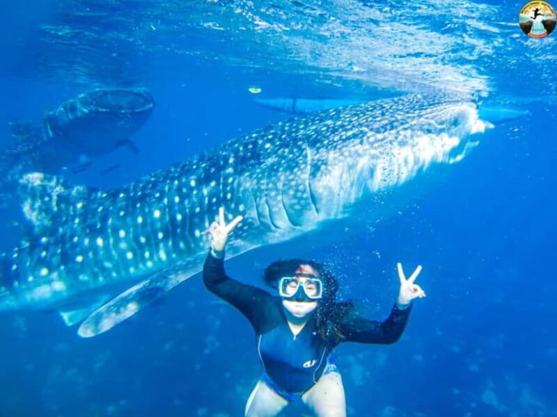 Cebu: Oslob Whale Sharks & Kawasan Canyoneering Group Tour - Cebu: Oslob Whale Sharks & Kawasan Canyoneering Group Tour