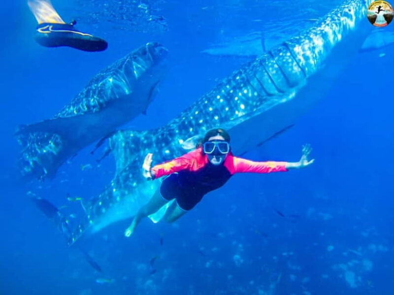 Cebu: Oslob Whale Sharks & Kawasan Canyoneering Group Tour - Key Points