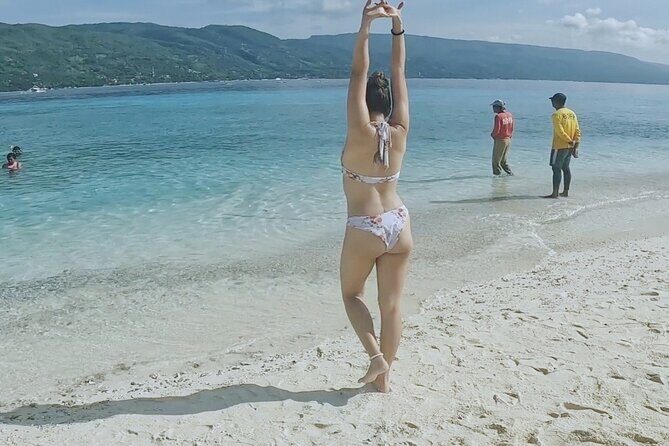 Cebu Oslob Whaleshark and Sumilon Island Full-Day Private Tour - Who Should Consider This Tour?