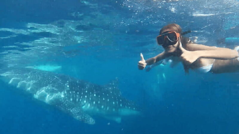 Cebu: Oslob Whaleshark & Canyoneering Group Tour with Lunch - Authentic Experiences and Authentic Challenges