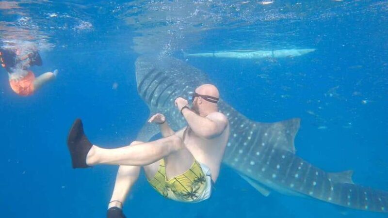 Cebu: Oslob Whaleshark & Sardines Run Snorkeling Day Tour - Who Will Love This Tour?
