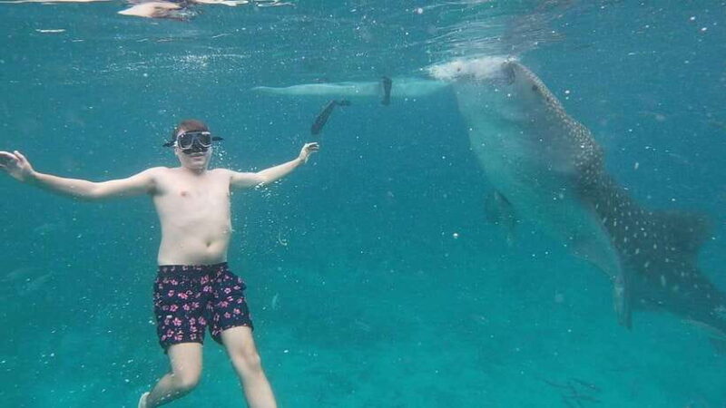 Cebu: Oslob Whaleshark & Sardines Run Snorkeling Day Tour - Final Thoughts: Is It Right for You?