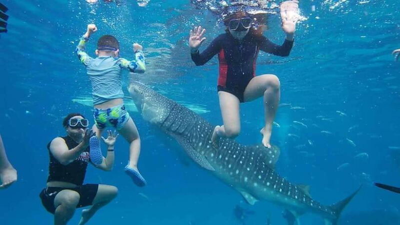 Cebu; Oslob Whaleshark Watching Day Tour - Key Points