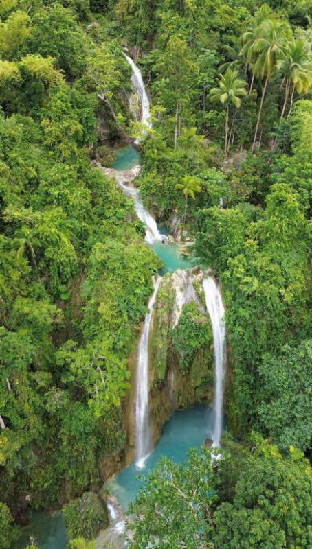 Cebu Oslob WhaleShark,Inambakan Falls& Moalboal Sardines Run - Key Points