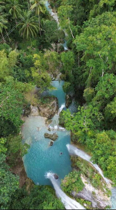 Cebu Oslob WhaleShark,Inambakan Falls& Moalboal Sardines Run - A Deep Dive into the Tour Experience