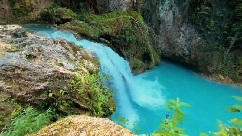 Cebu: Osmeña Peak and Kawasan Canyoneering Day Tour - Key Points